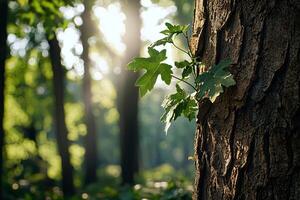 Soft sunlight filters through fresh green leaves, symbolizing new beginnings and the essence of spring growth photo