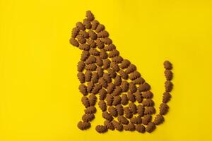 Cat-shaped pattern made from dry pet food on a vibrant yellow background, symbolizing feline nutrition, creativity, and pet care concepts. photo