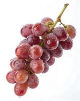 A bunch of grapes on a white background. photo