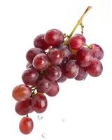 A bunch of grapes isolated on a white background photo