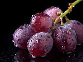 Shiny Grape with Dew Isolated on Black Background. photo