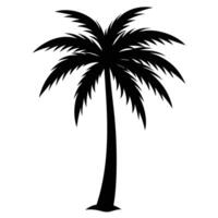Black Silhouette Of Palm Tree On White Background Graphic Design Element vector