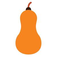 Simplified Butternut Squash Illustration Isolated On White Background For Food Concepts vector