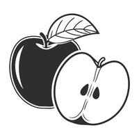 Monochrome Apple Illustration With Cross Section And Leaf Element vector
