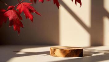 Red Maple Leaves and Wooden Platform in Sunlight photo