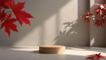 Minimalist Display with Red Maple Leaves photo