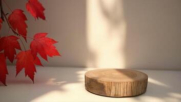 Autumn Leaves and Wooden Display in Sunlight photo