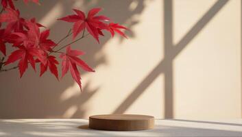Red Maple Leaves with Wooden Display Stand photo
