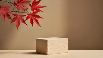 Red Maple Leaves and Stone Block Minimalist Art photo