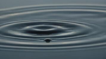 Calm Water Ripples Creating Circular Patterns photo