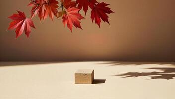 Red Maple Leaves and Shadowed Cube on Beige photo