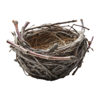 a bird's nest with twigs on it png