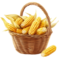 Wicker Basket Overflowing with Fresh Corn Cobs and Husk Organic Farm Produce png