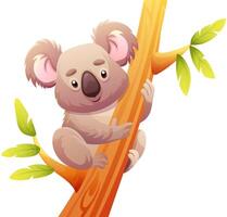 cute loala on tree branch on transparent background vector