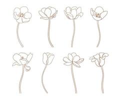 Tulips set, minimal contour. Flowers with stems, brown sketches. Beautiful spring decor. Drawn vintage elements in line art style for design, illustration vector