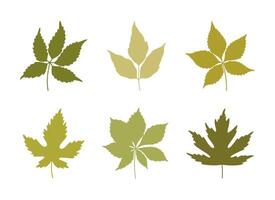 Set of silhouette spring leaves in green colors. Summer background. Foliage of maple, chestnut, and five leaved ivy, isolated on white. Leaf icons vector