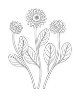 Set of three flowers with leaves. Bouquet of blooming perennial wild plants, wildflowers. Line art, minimal style, contour. Botanical hand-drawn elements for design projects vector
