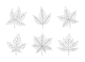 Set of autumn leaves maple, chestnut, and five-leaved ivy. Black silhouettes in line art style on a white background. Fall, spring, or summer collection contour foliage, illustration vector