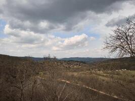 Veveri castle overlooking brno reservoir in early spring, czechia photo