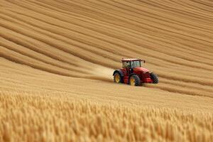 Red tractor harvesting wheat in a large field, creating beautiful patterns on a sunny day copy space photo
