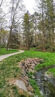 Winding path along a stream in pruhonice park, czechia photo