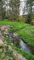 Small stream flowing through green grass in pruhonice park photo