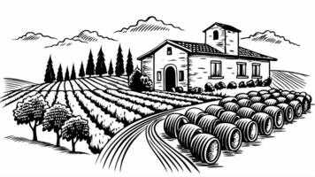 Rustic Vineyard Landscape with Farmhouse and Fields in Retro Style vector