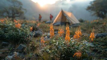 focus on flowers, tourist tent in mountains valley. soft backlight, light fog. concept of travel and adventure concept photo