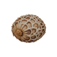 Intricate Sphere Structure with Geometric Pattern on Transparent Background png