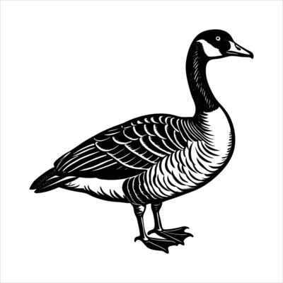 Goose Standing Position