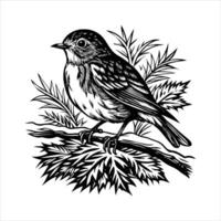 A bird is perched on a branch vector