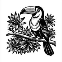 Toucan Rainforest Vectors