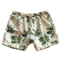 Botanical Print Summer Shorts with Green Leaf Pattern on Transparent Background png