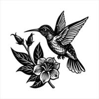 Hummingbird Hovering Over Flowers vector