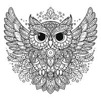 Intricate Zentangle Style Owl Illustration with Open Wings vector