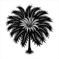 A palm tree with jagged leaves vector