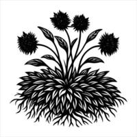 Aster flower silhouette vector