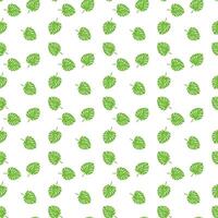 Monstera leaf pattern on a white background vector