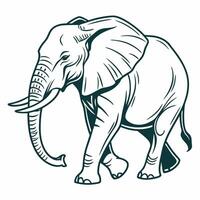 An elephant is standing in the middle of a white background vector