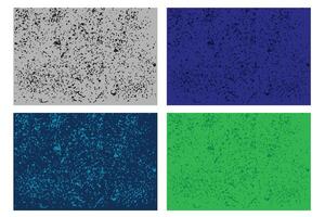 Wall spot texture pattern, with various colors for interior design mapping and abstract background vector