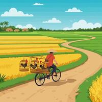 Man Riding Bicycle with Fowl Cages Through Rice Fields vector