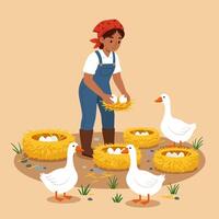 Collecting Eggs From Nests Surrounded by Geese Illustration vector