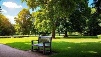 Scenic park view featuring a wooden bench on a well-manicured lawn surrounded by lush green trees under a bright blue sky photo