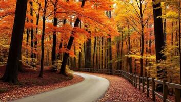 Curved Road Through Colorful Autumn Forest with Red and Yellow Foliage photo