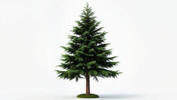 Realistic green evergreen tree with a sturdy trunk and lush foliage on a plain white background suitable for various design and decoration projects photo