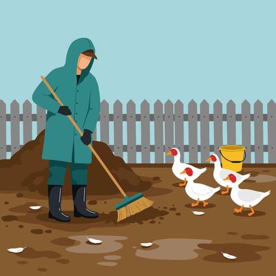 Person Sweeping Muddy Yard with Ducks Watching
