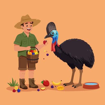 Feeding Fruit to Cassowary with Farmer Illustration