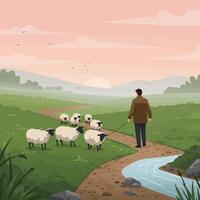 Shepherd Walking Sheep on Path Through Countryside at Sunrise vector