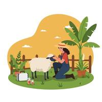 Woman Examining Sheep on a Farm on Sunny Day vector