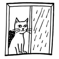 black and white drawing of a cat looking out the window vector